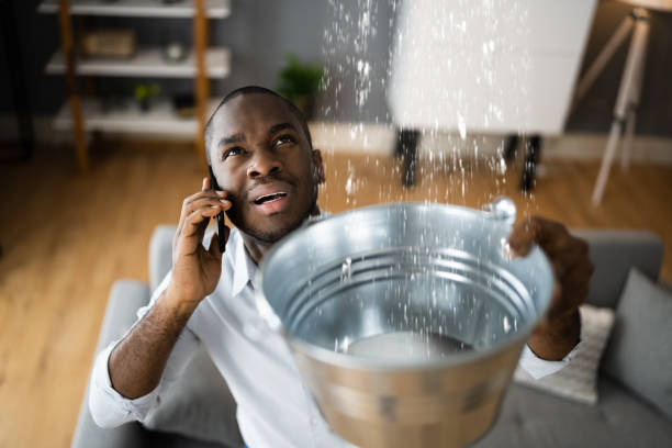 Best Water damage contractors near me  in Dland, MI