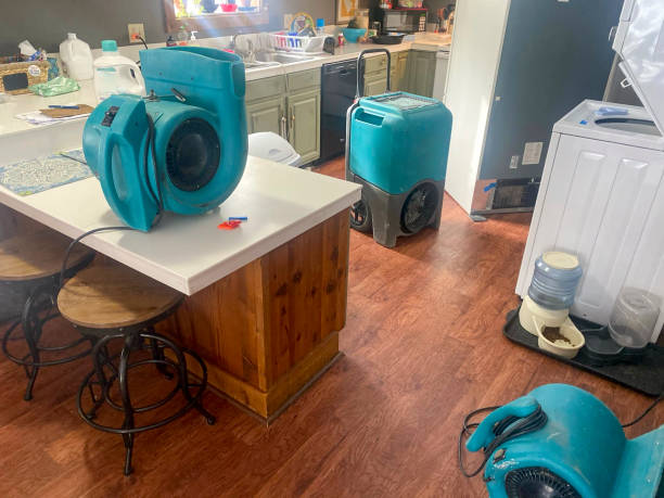 Best 24-hour water damage restoration  in Dland, MI