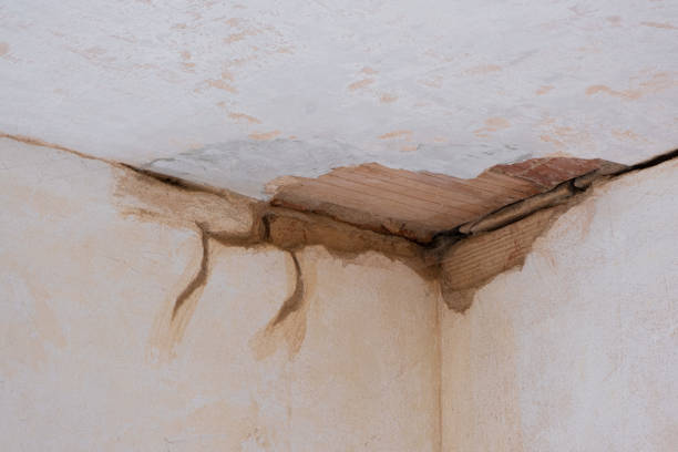 Best Sewage cleanup and water damage restoration  in Dland, MI