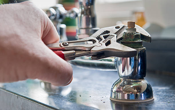 Best Water damage restoration services  in Dland, MI