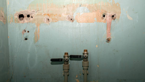 Best Ceiling water damage repair  in Dland, MI