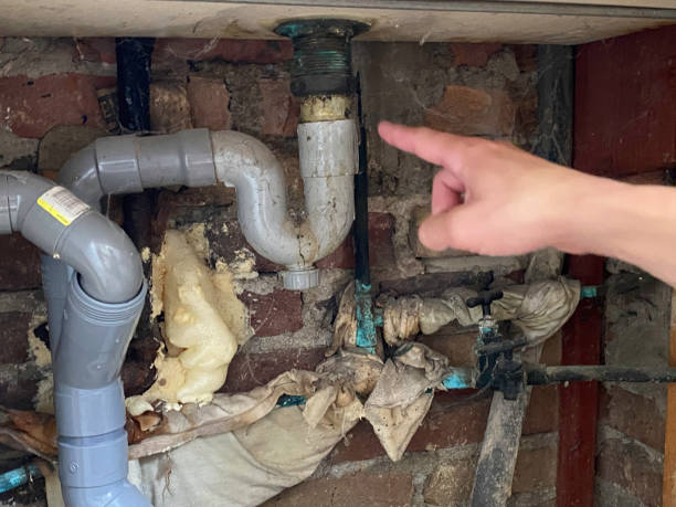 Best Water damage cleanup near me  in Dland, MI