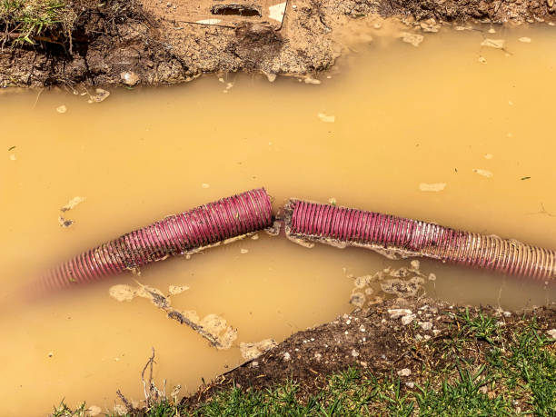 Best Flood damage cleanup  in Dland, MI